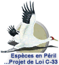 Esp�ces en p�ril